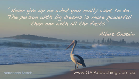 Pelican and Quote